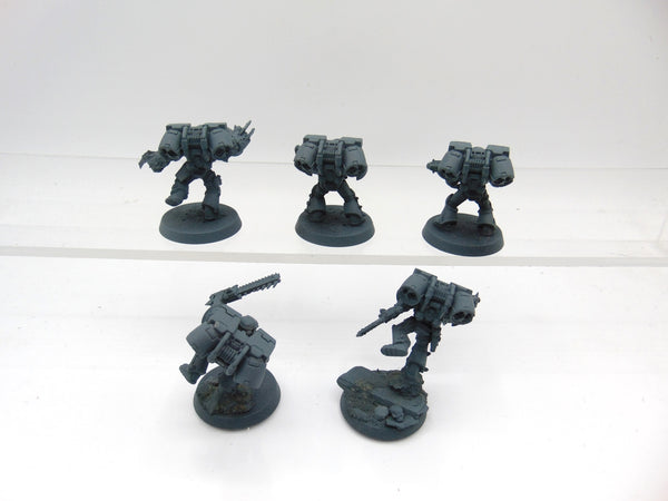 Raptors Conversion
