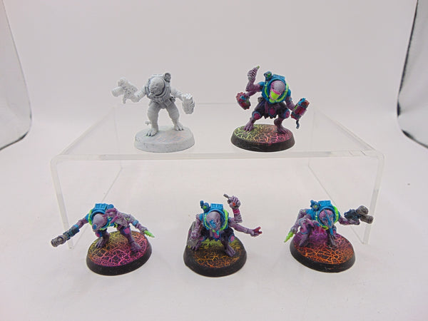 Acolyte Hybrids