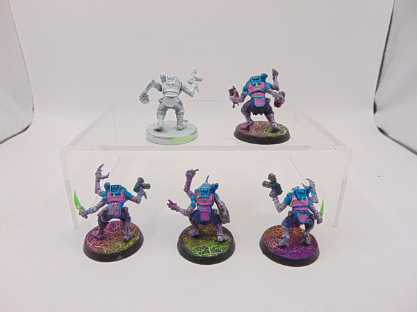 Acolyte Hybrids