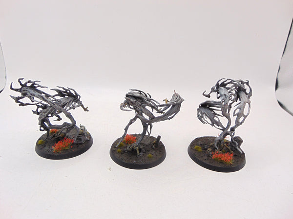 Spirit Hosts