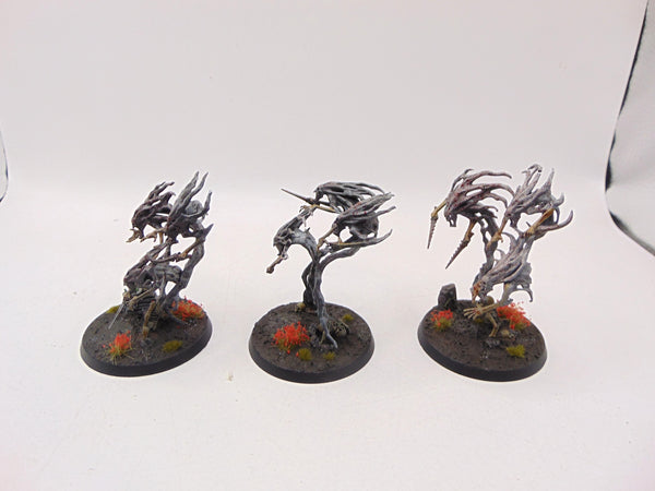 Spirit Hosts