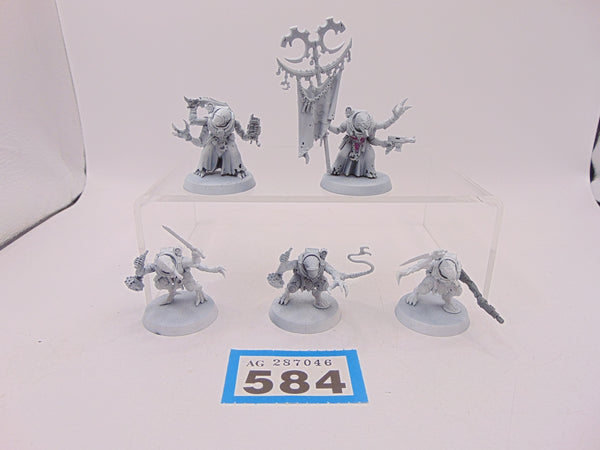 Acolyte Hybrids