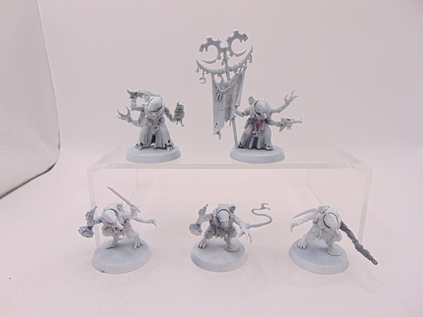 Acolyte Hybrids