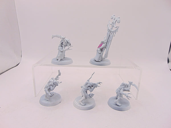 Acolyte Hybrids