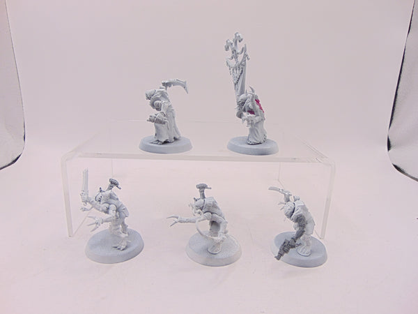 Acolyte Hybrids
