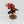 Primaris Captain with Jump Pack