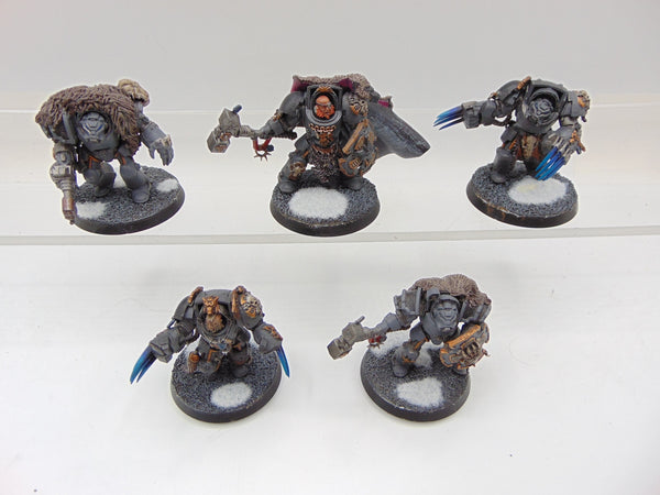 Wolf Guard Terminators