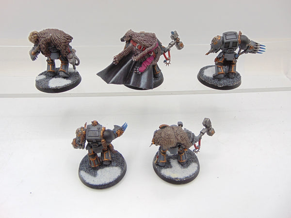 Wolf Guard Terminators