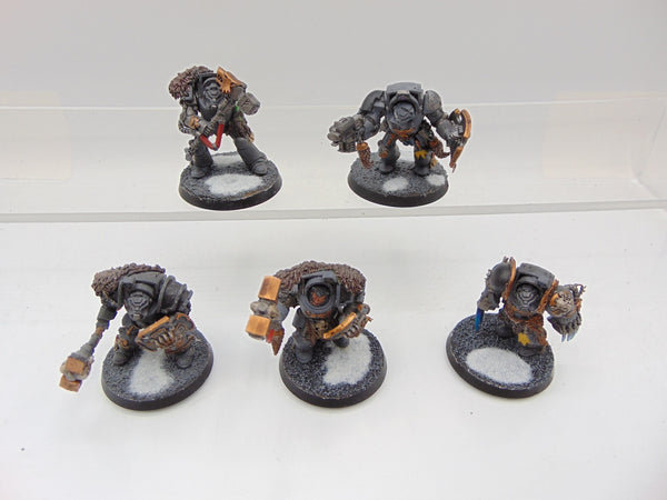 Wolf Guard Terminators