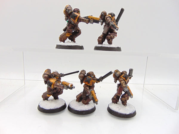 Assault Intercessors