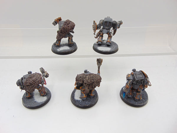 Wolf Guard Terminators