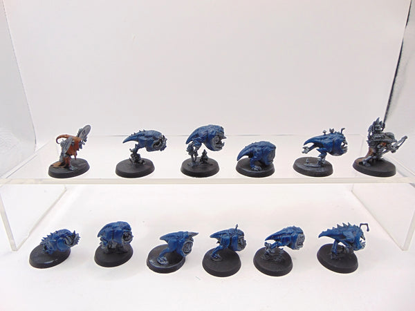 Squig Herd