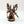 Fabius Bile