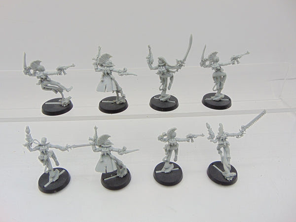 Harlequin Troupe