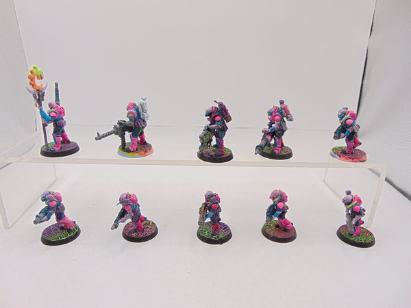 Neophyte Hybrids