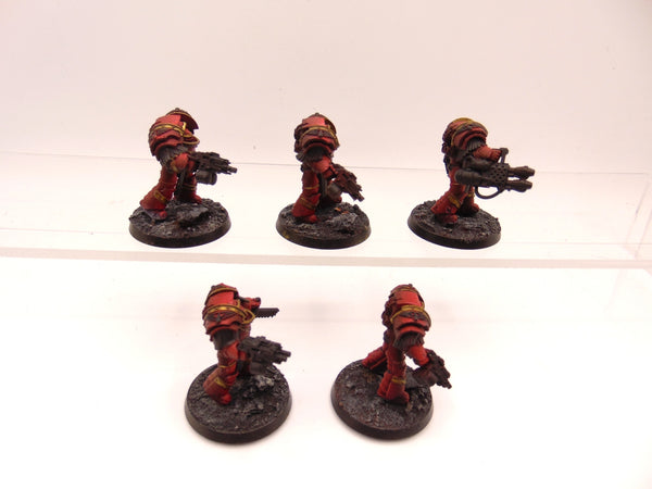 Cataphractii Terminator Squad