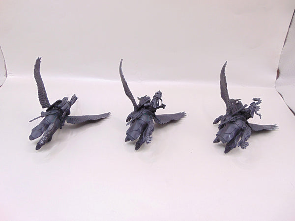 Pegasus Knights