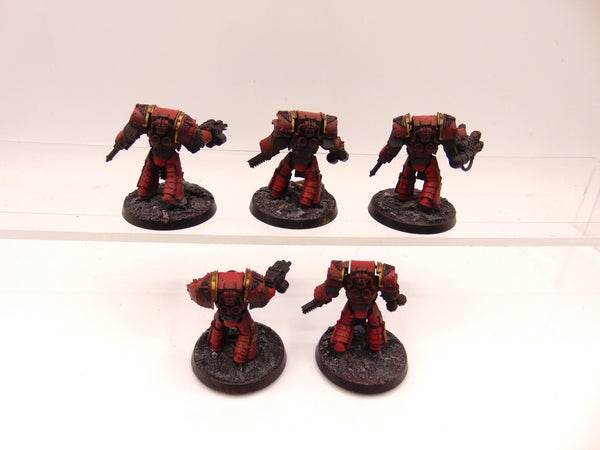 Cataphractii Terminator Squad