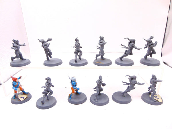 Elven Union Team Elfheim Eagles