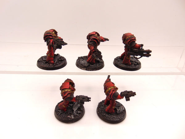 Cataphractii Terminator Squad