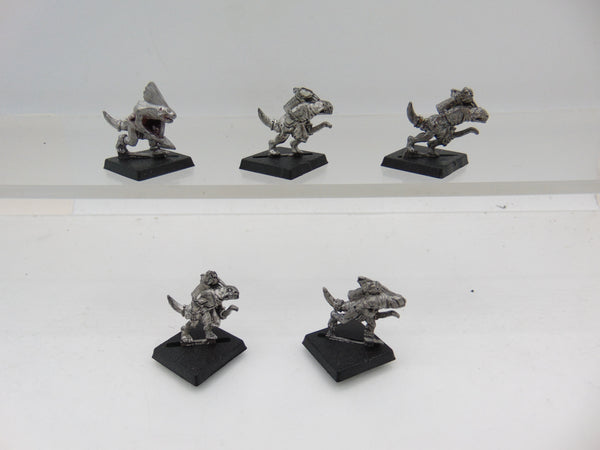 Skink Warriors