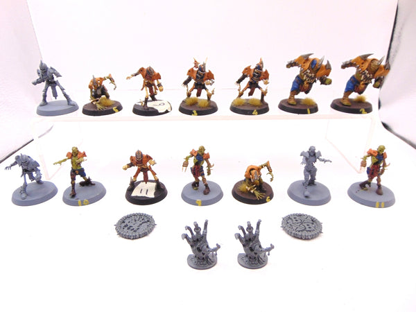 Shambling Undead Team Champions of Death