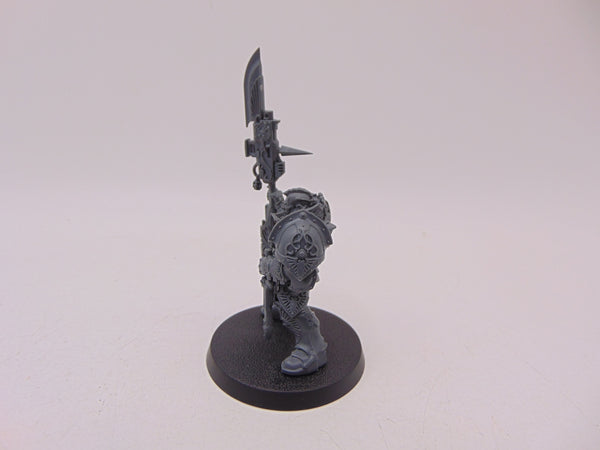 Shield Captain