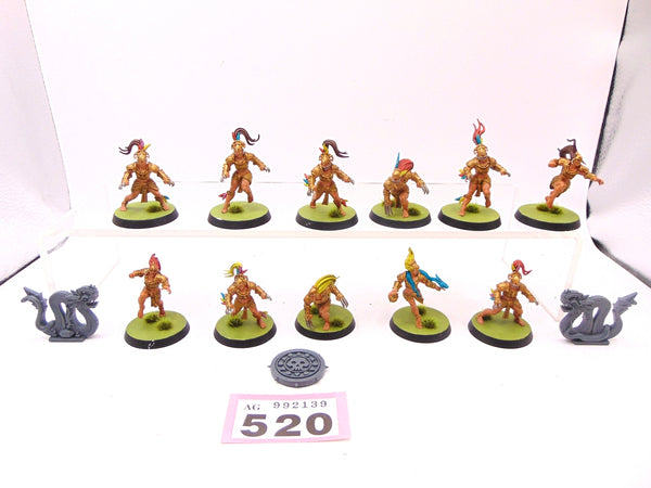 Amazon Blood Bowl Team  Kara Temple Harpies