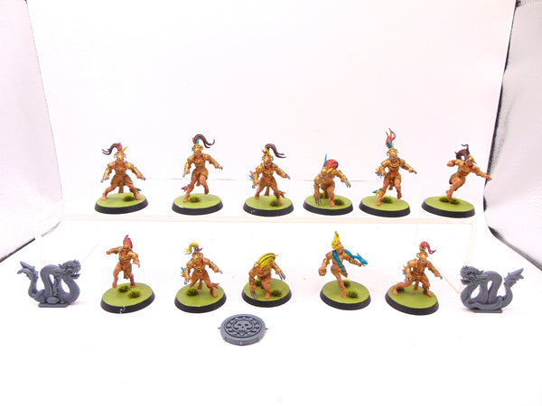Amazon Blood Bowl Team  Kara Temple Harpies