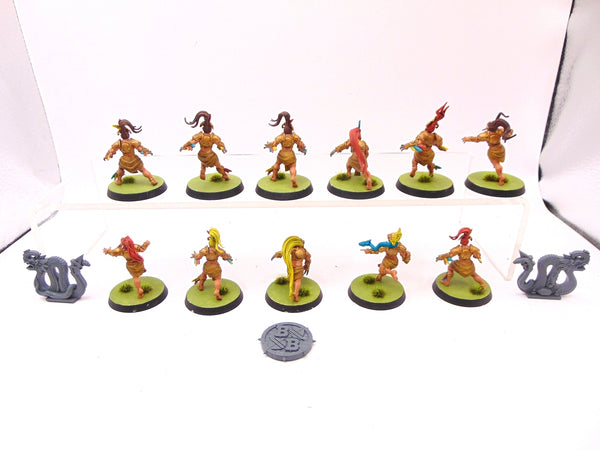 Amazon Blood Bowl Team  Kara Temple Harpies