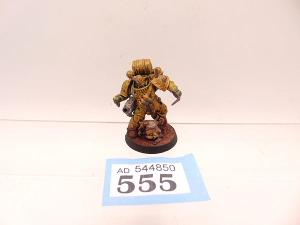 Kholerus