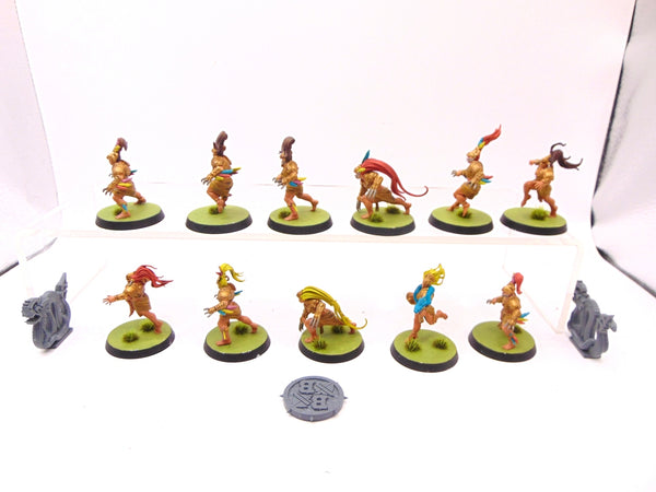 Amazon Blood Bowl Team  Kara Temple Harpies
