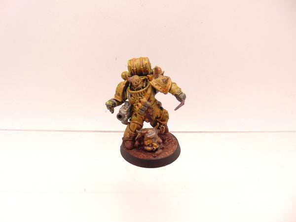 Kholerus