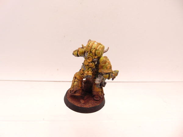 Kholerus