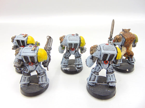 Wolf Guard Terminators