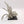 Goblin Big Boss on Gigantic Spider