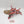 Crimson Hunter