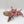 Crimson Hunter