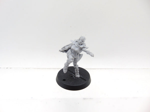 Dark Elf Assassin