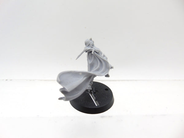 Dark Elf Assassin