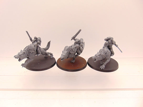 Thunderwolf Cavalry