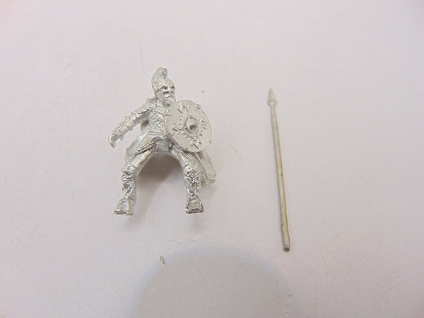 Rohan Royal Guard / Knight
