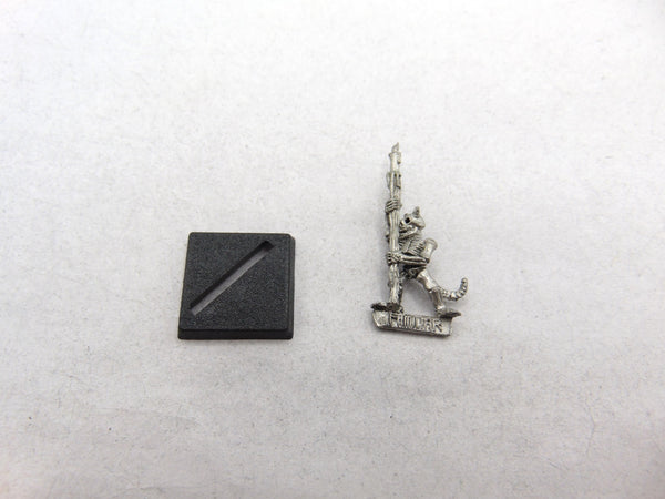 Chaos Familiar Skeletal