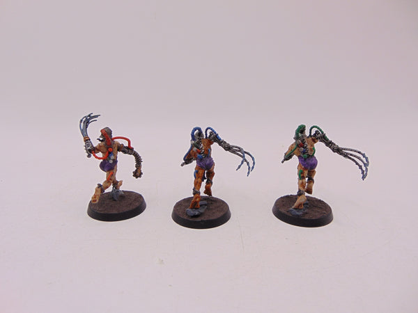 Arco Flagellants