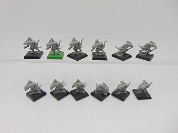 Skinks