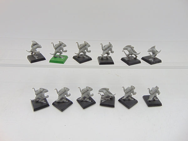 Skinks