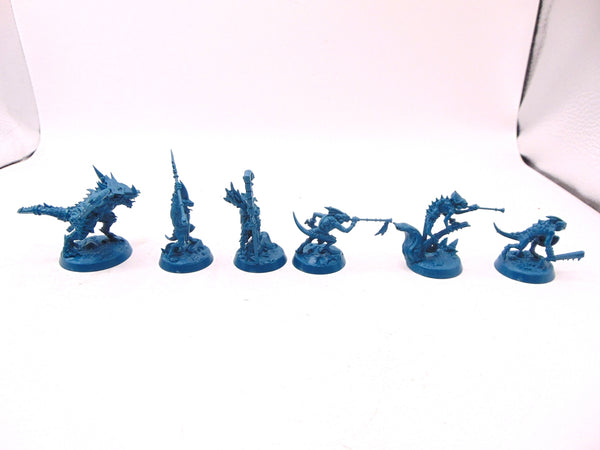 The Starblood Stalkers