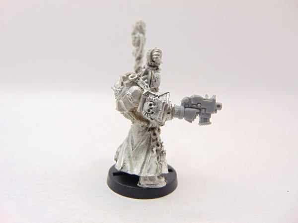 Chief Librarian Tigurius