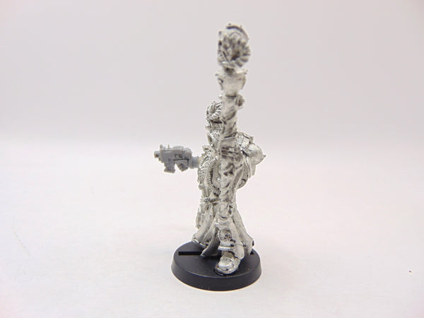 Chief Librarian Tigurius