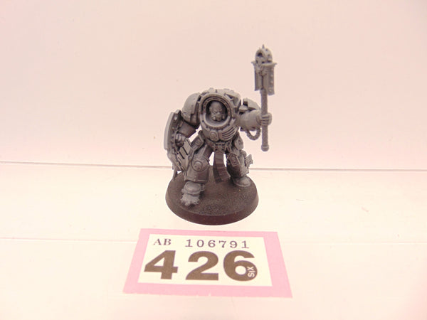 Chaplain in Terminator Armour